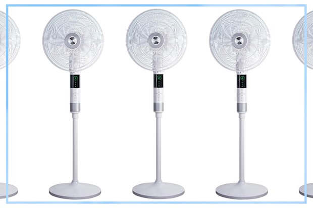 9PR: De'Longhi 360° Pedestal Fan
