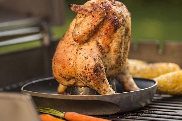 9PR: Weber Poultry Infusion BBQ Roaster
