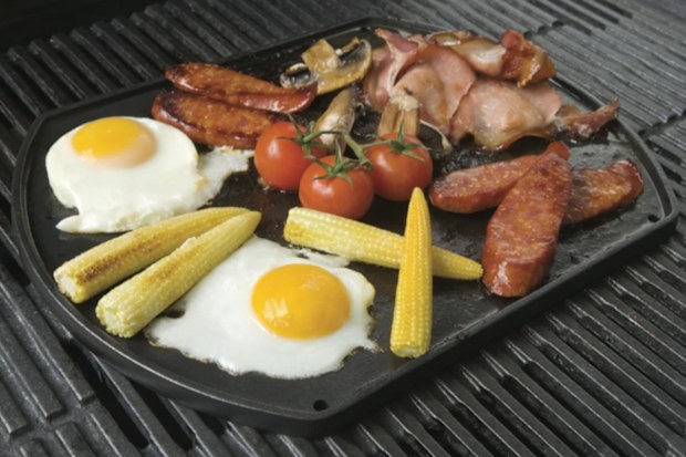 9PR: Weber Q Breakfast Plate