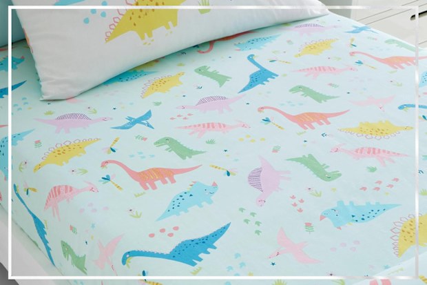 9PR: Catherine Lansfield Kids Dinosaur Friends Fitted Sheet