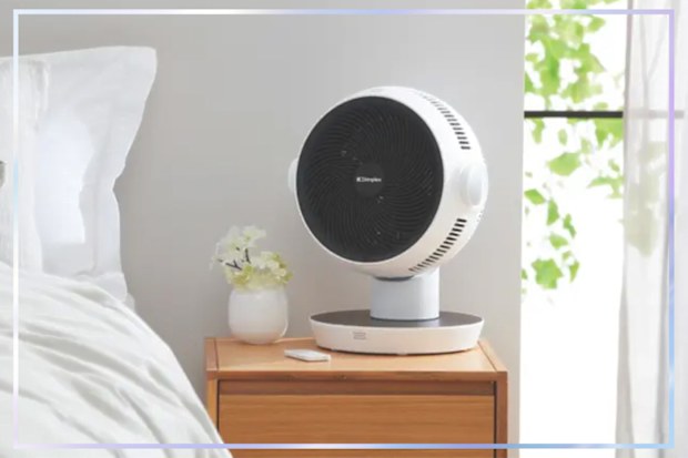 9PR: Dimplex Heat & Cool Air Circulator