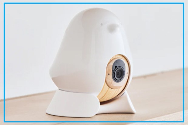 9PR: CuboAi Plus Smart Baby Monitor with 3-Piece Stand