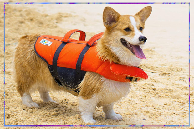 9PR: Outward Hound Dog Life Jacket