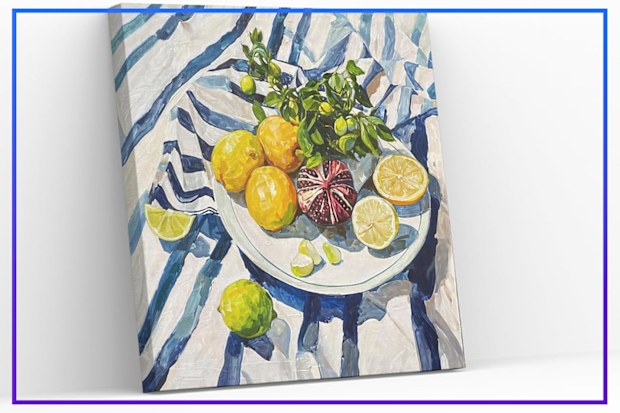 9PR: Darren Palmer's kitchen styling tips