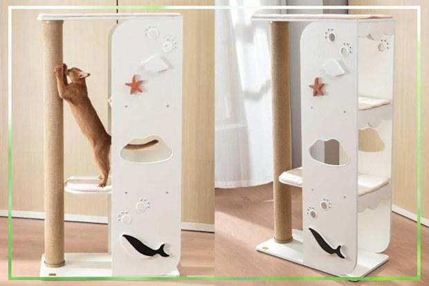 9PR: Michu Purradise Cat Tower