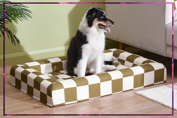 9PR: Check Arlo Memory Foam Dog Bed