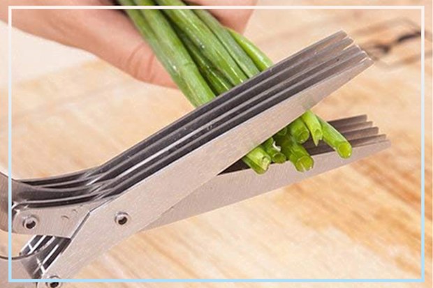 9PR: SevenD Herbs Scissors