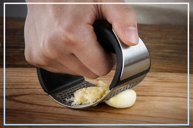9PR: Little Bee Stainless Steel Garlic Chopper, Crusher and Press