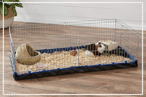 9PR: Amazon Basics Canvas Bottom Pet Cage Replacement Canvas, Blue