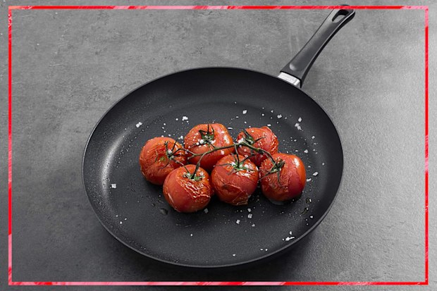 9PR: Scanpan Classic Induction Fry Pan