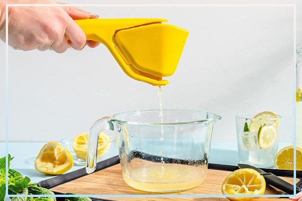 9PR: Dreamfarm Lemon Fluicer