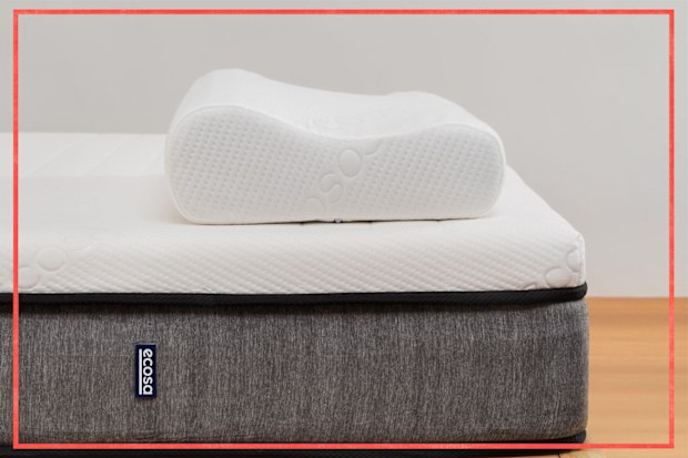 9PR: Ecosa Pillow