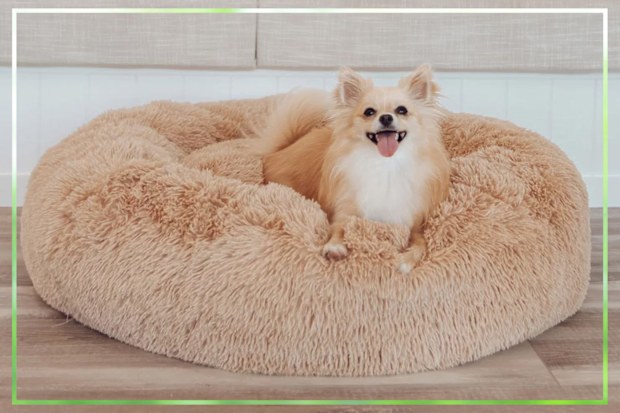 9PR: SASH Beds Calming Dog Bed, Beige