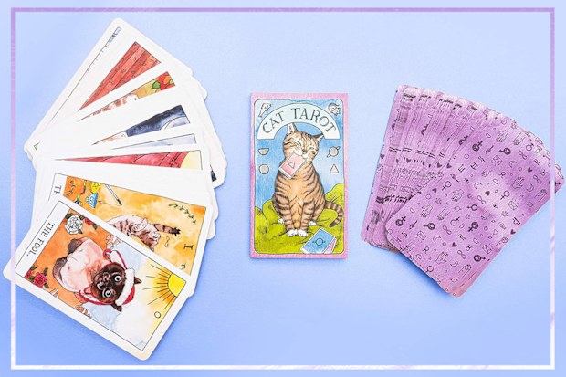 9PR: Cat Tarot Card Set