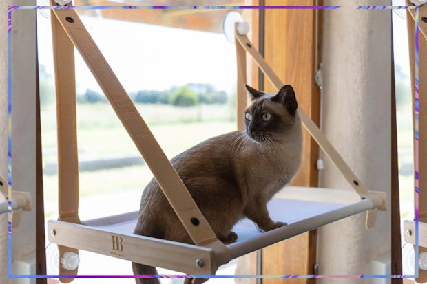 9PR: Buddy & Belle Cat Window Perch