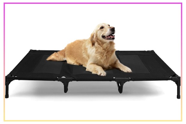 9PR: Pawever Pets Dog Trampoline Bed