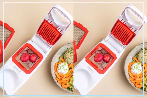 9PR: Tupperware Vegetable Super Dicer