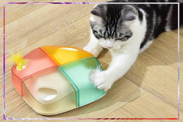 9PR: Michu Interactive Feather Toy Box