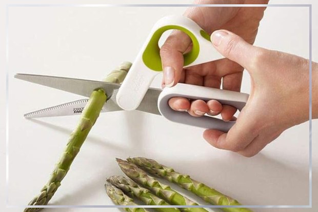 9PR: Joseph Joseph PowerGrip Kitchen Scissors
