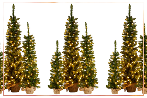 9PR: Enchanted & Evergreen Yule Christmas Tree 3-Piece Set