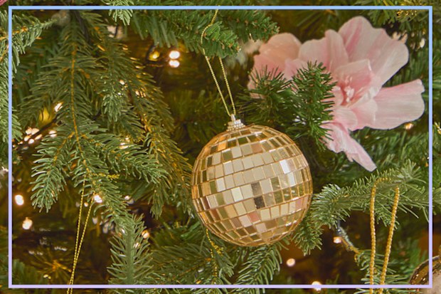9PR: Christmas decorations