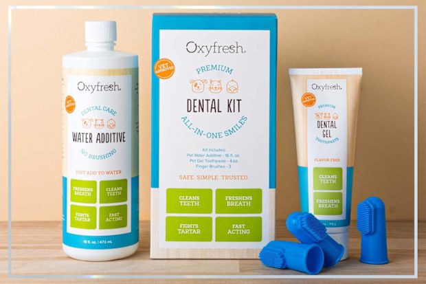 9PR: Oxyfresh Pet Dental Kit
