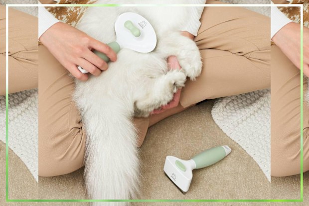 9PR: Michu Round-Head Grooming Brush and Shedding Rake Bundle 
