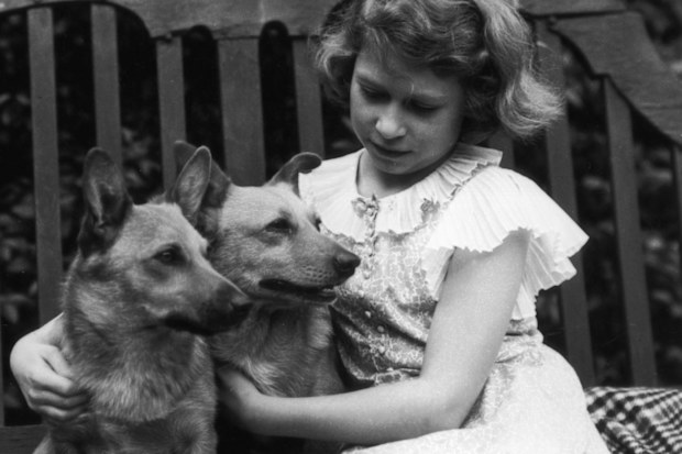 Princess Elizabeth and her corgis pictured in 1936