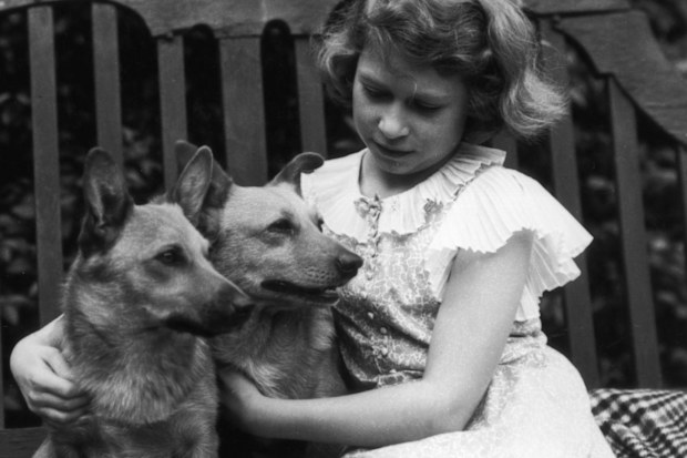 Princess Elizabeth and her corgis pictured in 1936