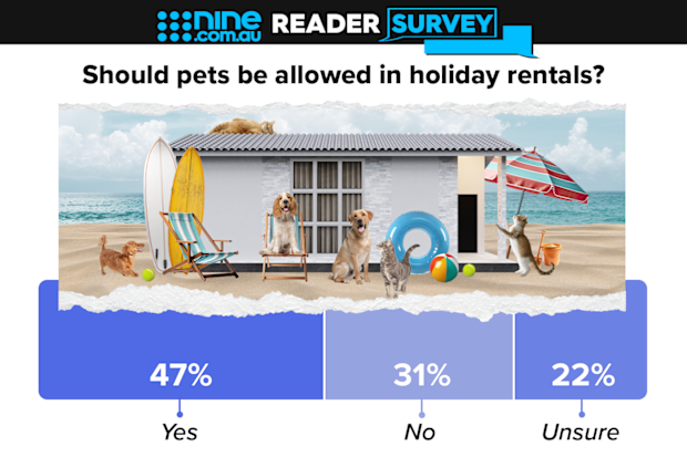 pets in holiday rentals nine reader poll