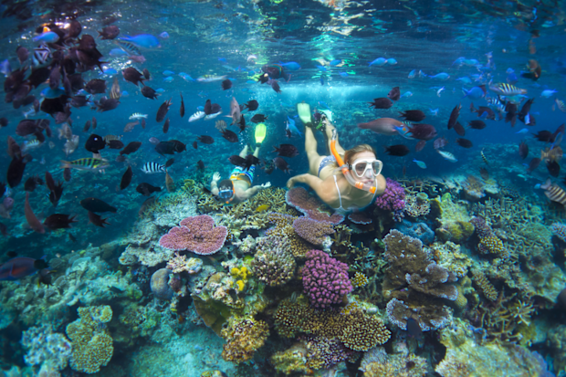 Snorkelling in Vanuatu