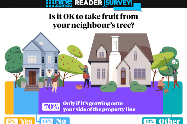 Is it OK to take fruit from your neighbour's tree graphic