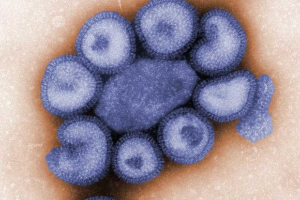 Bre Payton died of the insidious virus H1N1, better known as 'swine flu'.