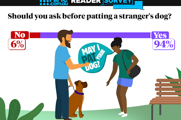 Patting a dog
