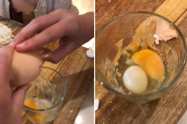 deb knight cracks giant egg