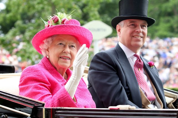 Queen Andrew