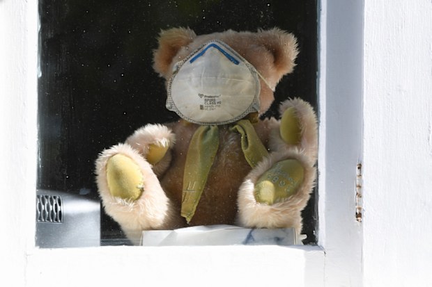 A teddy bear sits inside a window at a house wearing a face mask in Sydney.