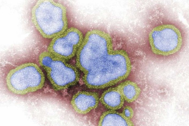 Influenza A is a particularly nasty virus spreading around Australia.