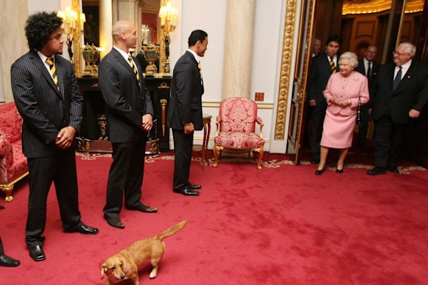 Queen and corgi at Buckingham Palace