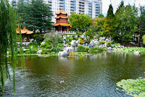 Chinese Garden of Friendship - Sydney - Australia