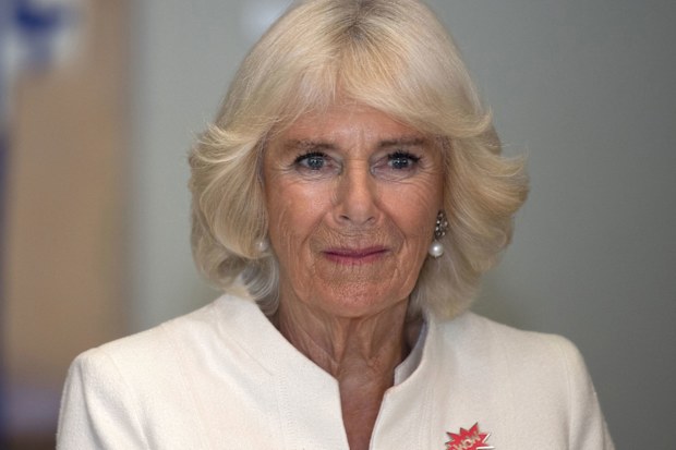 Camilla, Duchess of Cornwall during the 2019 royal tour of New Zealand