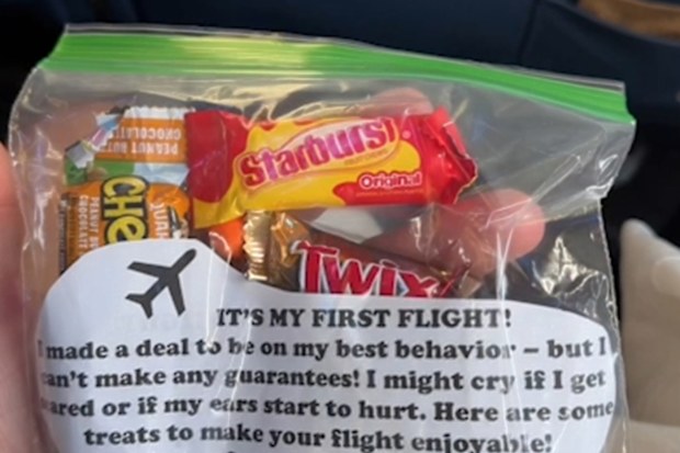 New mum's kind gesture on a recent flight with her baby divides people
