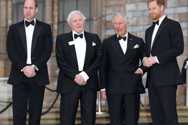 Fresh royal rivalry between Harry and Wills