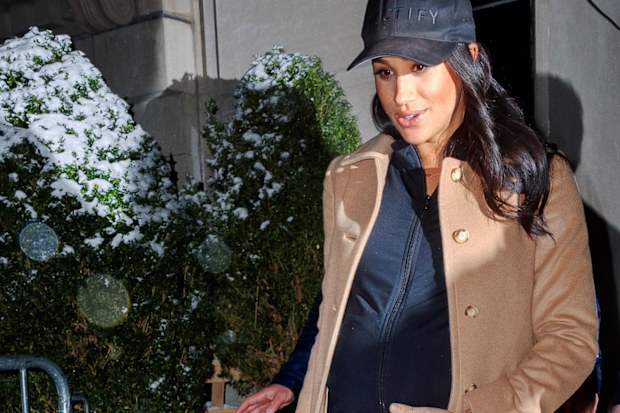 Meghan Markle free flight