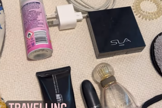 handbag travel hack everything shelly packed