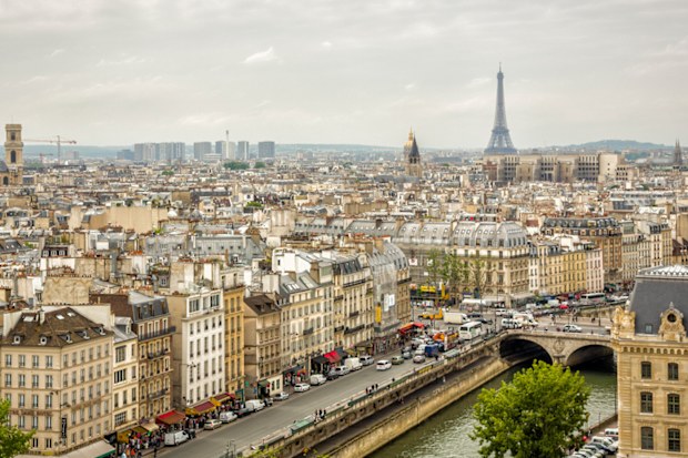 Paris and Eiffel tower view from Notre Dame.