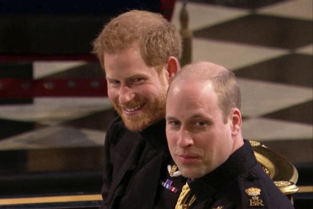 Prince harry and Prince William