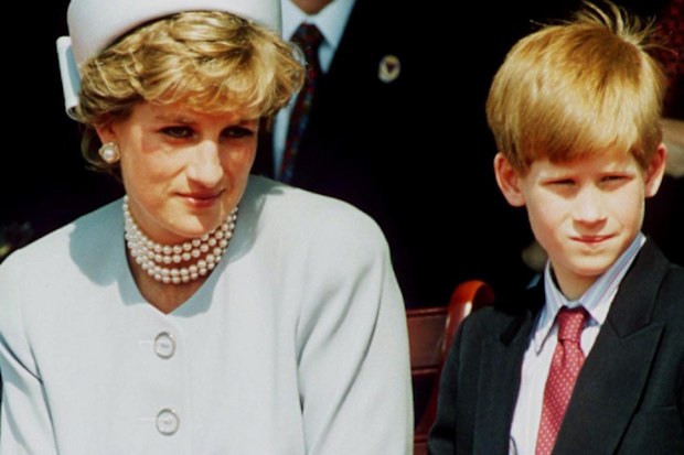 Prince Harry survived on money left to him by his mother