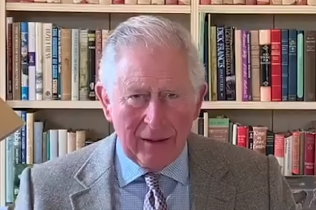 Prince Charles addresses the nation during the coronavirus crisis after contracting the illness.