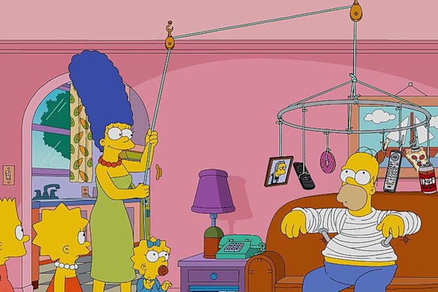 Homer Simpson in the 'The Simpsons'